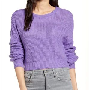 Cupcakes and Cashmere Cropped Sweater